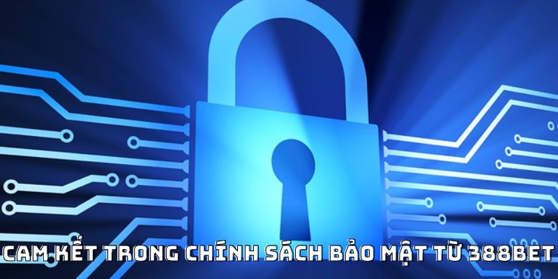 Cam kết trong chính sách bảo mật từ 388bet