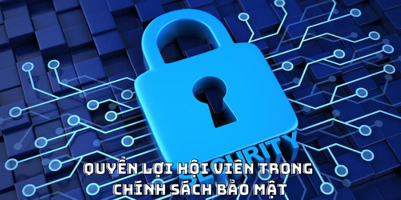 Chi tiết quyền lợi hội viên trong chính sách bảo mật