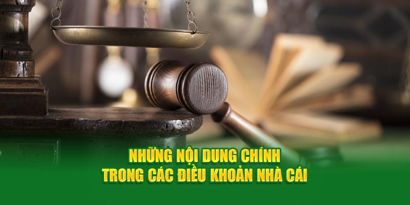 Cập nhật điều khoản điều kiện tại 388bet cho tân binh hiểu